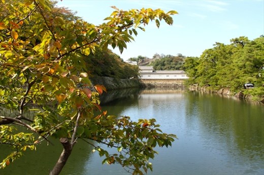 Hikone Castle from moat, Hikone