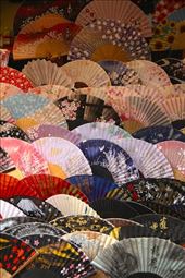 Parasols, Kyoto: by vagabondstoo, Views[537]