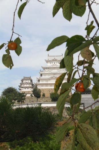 Fall persimmons and Himeji Castle