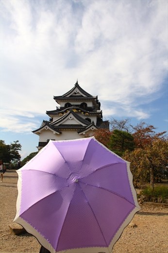 Purple Parasol, Hikone Castle
