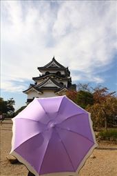 Purple Parasol, Hikone Castle: by vagabondstoo, Views[658]
