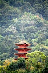 Itsukushima Shrine on Mijajima Island: by vagabondstoo, Views[630]