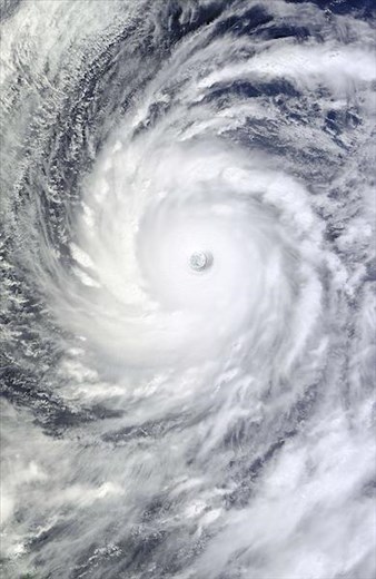 Typhoon 