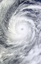 Typhoon 