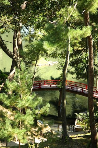Tranquility of a Hiroshima garden