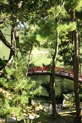 Tranquility of a Hiroshima garden: by vagabondstoo, Views[623]