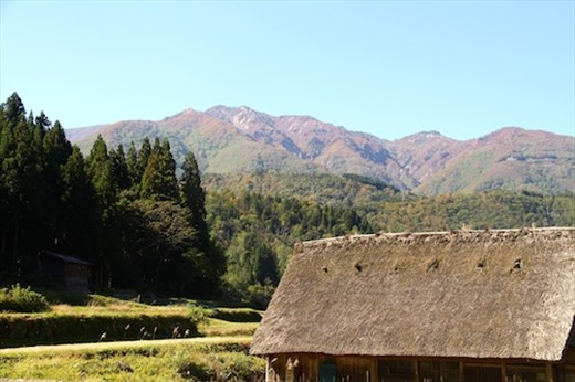 Cedars and mountains, Shirakawa-go