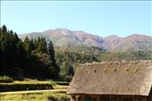 Cedars and mountains, Shirakawa-go: by vagabondstoo, Views[546]