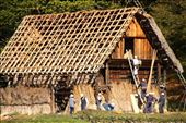 Replaceing thatch roof, , Shirakawa-go: by vagabondstoo, Views[554]