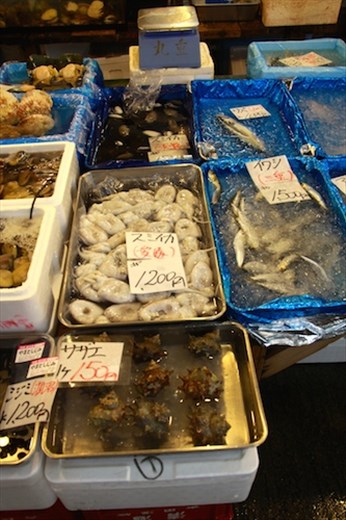 Tsukiji Fish Market