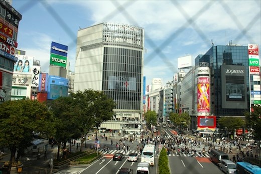 Shibuya:  Cross at the green, not in-between!