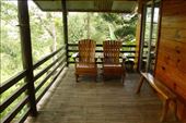 Birding in comfort, Pitcher Plant Farm, Mindanao: by vagabondstoo, Views[575]