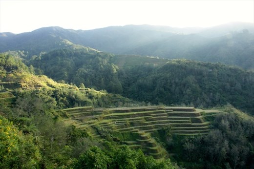 Banaue Terraced Rice Paddies