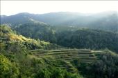 Banaue Terraced Rice Paddies: by vagabondstoo, Views[294]