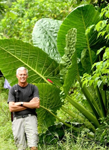John and Little Shop of Horrors plant, Sabang, Palawan