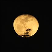 Moonrise, Mindanao: by vagabondstoo, Views[596]