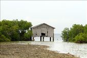Bird sanctuary, Olango Island: by vagabondstoo, Views[547]