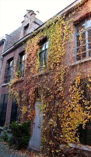 Flemish Beguinage in Mechelen 