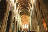 Cathedral of St. Bavo, Ghent: by vagabondstoo, Views[477]