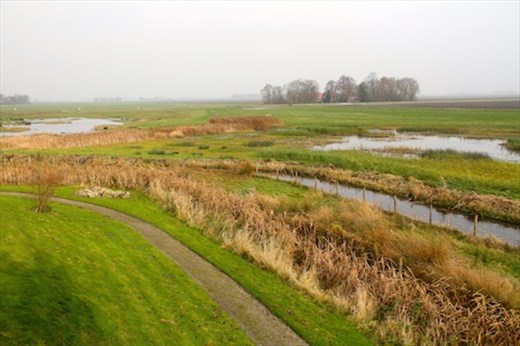 Reclaimed land, Schokland