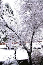 A taste of winter as we left Germany: by vagabondstoo, Views[609]