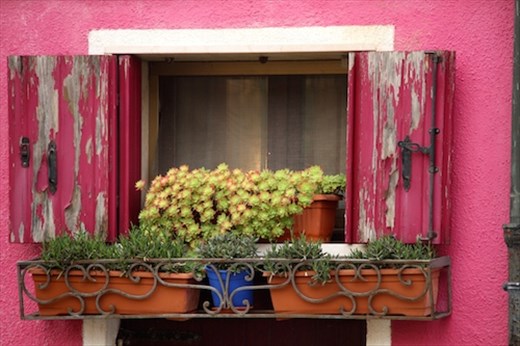 Windowbox, Burano