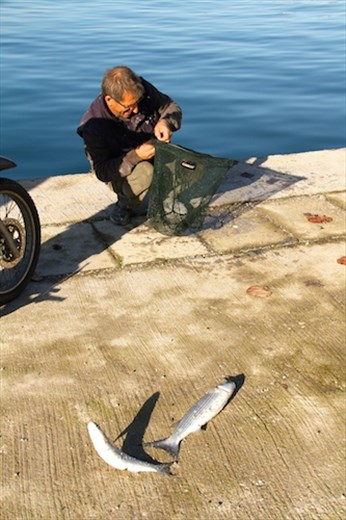 Day's catch, Corfu