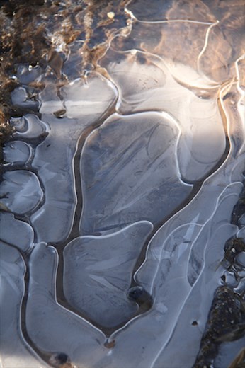 Frozen puddles and numb faces, Samos