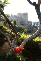 Our first view of the Old City, Rhodes: by vagabondstoo, Views[1233]