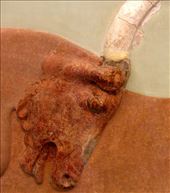 Bull mosaic from Knossos, Archeological Museum, Heraklion: by vagabondstoo, Views[504]