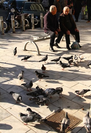 Old men and pigeons, Heraklion