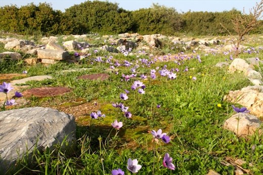 Minoan site at Paleokastro