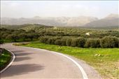 Long and winding road, eastern Crete: by vagabondstoo, Views[245]