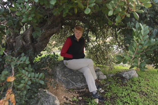 Shelter from the storm, Gournia