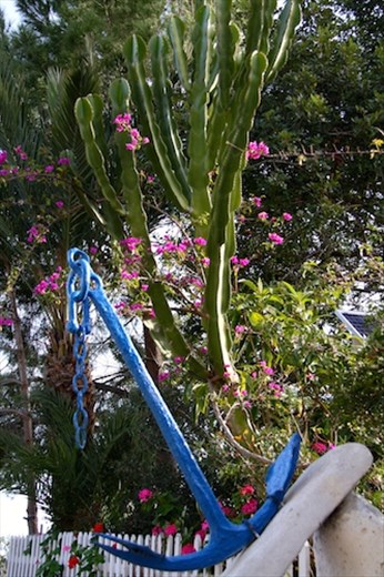 Aphrodite's Beach Trail, West Coast near Polis