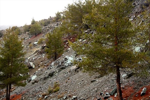 There's copper in them hills