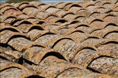 Roof tiles, Nicosia: by vagabondstoo, Views[651]