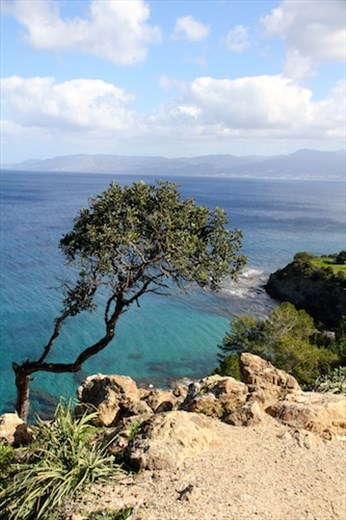Aphrodite's Beach Trail, West Coast near Polis