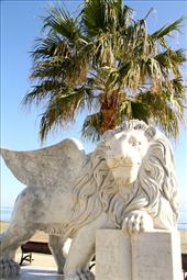 Venetian lion, Larnaka: by vagabondstoo, Views[409]