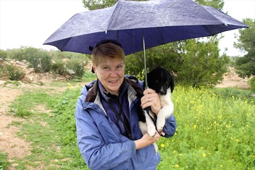 Keeping dry, Roman Salamis