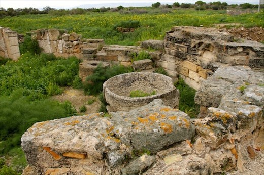 Olive oil mill, Roman Salamis