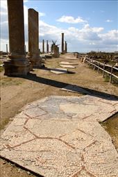 180 meters of mosaic, Roman ruins at Tyre: by vagabondstoo, Views[482]