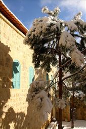 Snowed in, Dier al Oumara: by vagabondstoo, Views[489]