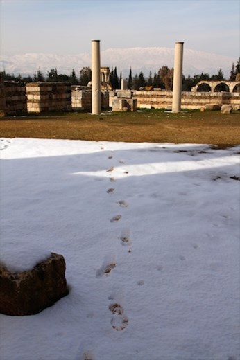 Tracks in the snow, Aanjar Umayyad archaeological site