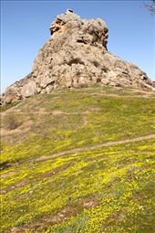 Sulaiman Too Sacred Mountain: by vagabondstoo, Views[2784]