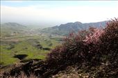 The road to Samarkand from Shakhrisabz: by vagabondstoo, Views[266]
