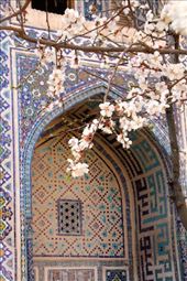 Madrassa in Registan Square, Samarkand: by vagabondstoo, Views[207]