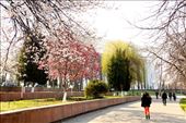 Spring is in the air, Tashkent: by vagabondstoo, Views[2046]