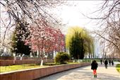 Spring is in the air, Tashkent: by vagabondstoo, Views[1819]