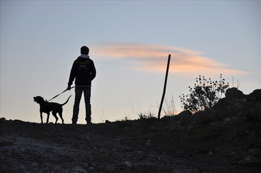 Forward ! with a friend